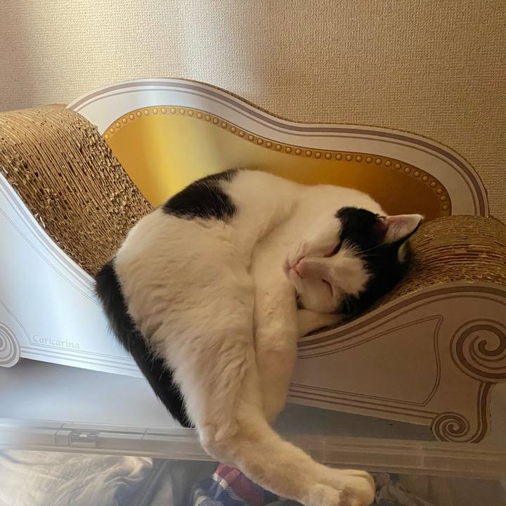 Ba609e6c 1616 4360 a539 ffd052269175 1602545136881