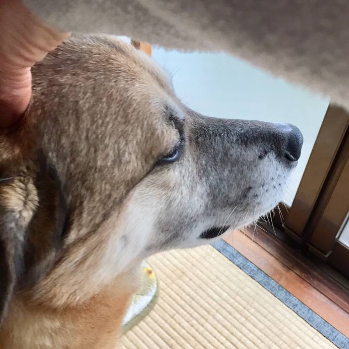 Ba60a466 82c1 4873 8a98 de465257f0f4 1581836171266