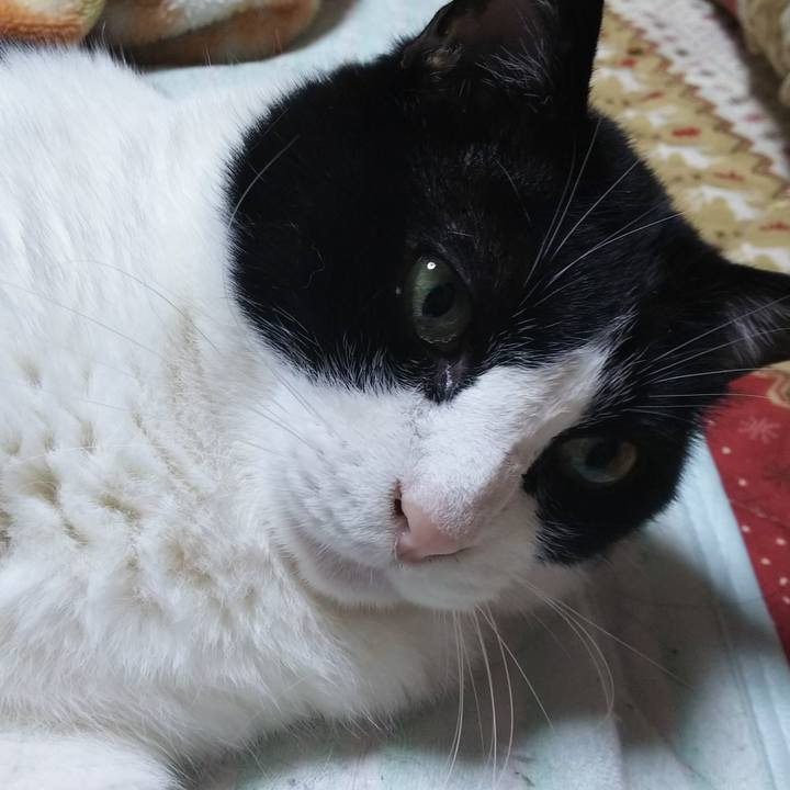 Ba60ac11 a3bf 4221 89a1 aa4f8cfb2d0e 1558270833608