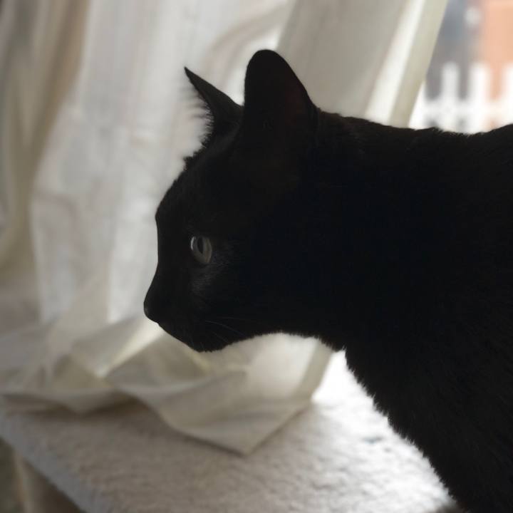 Ba616919 1e7c 4d68 acbe 25d7126fa975 1561335751587