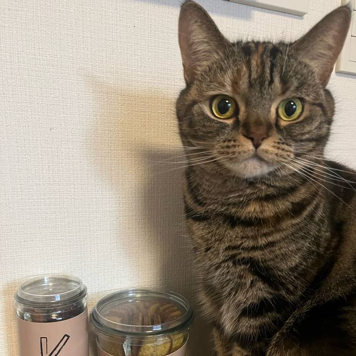 Ba61972b 3e31 46b8 9ca6 aa92fb2d38e1 1765713861957