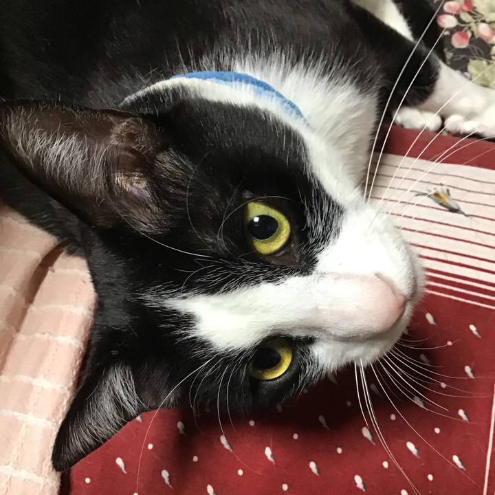 Ba61a022 6b67 451e 9286 ab7c93927a4a 1682599901125