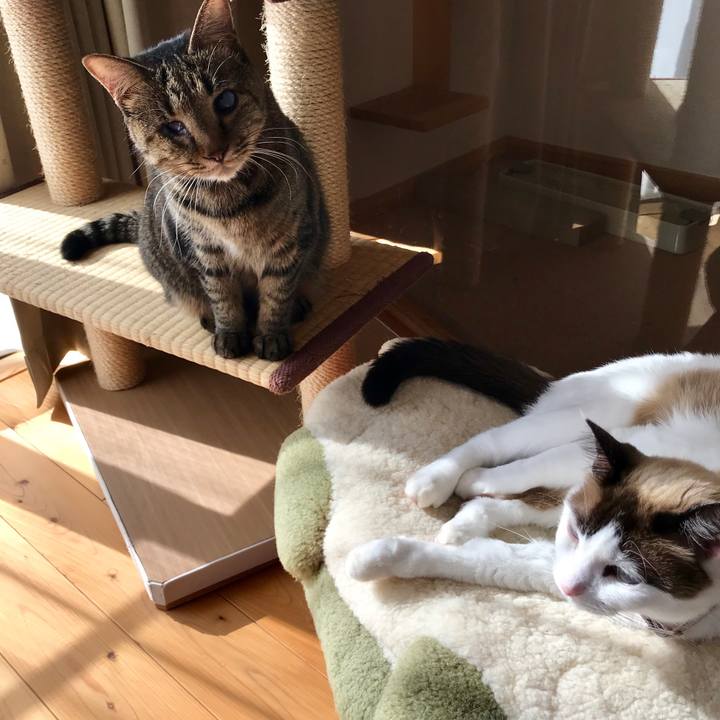 Ba61a59b 832e 4964 9e30 08af19ed5573 1543391505558