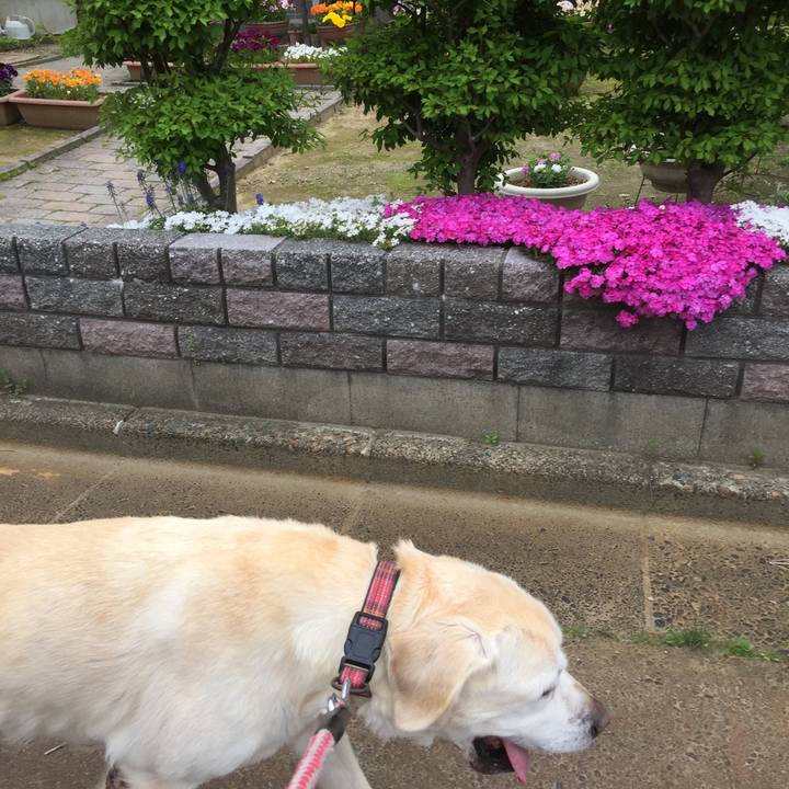 Ba61b1f1 3f3a 4417 8ccb 2d2f6fe37903 1525237756102