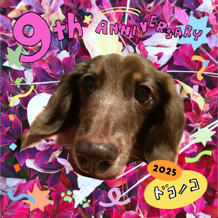 Ba61d248 7efa 4137 8088 1d44ace7b5fe 1749089035023