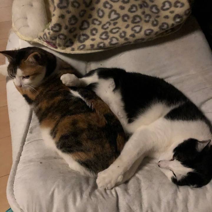 Ba61e021 d381 4c35 a95e 3afdb4c09561 1589023413046