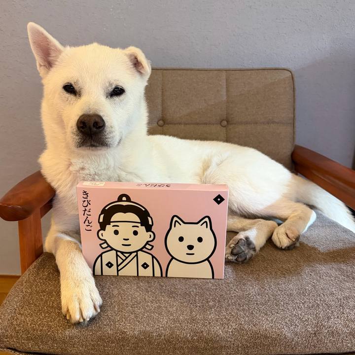 Ba622958 d5d0 4a22 823d 093d688caba9 1773749029963