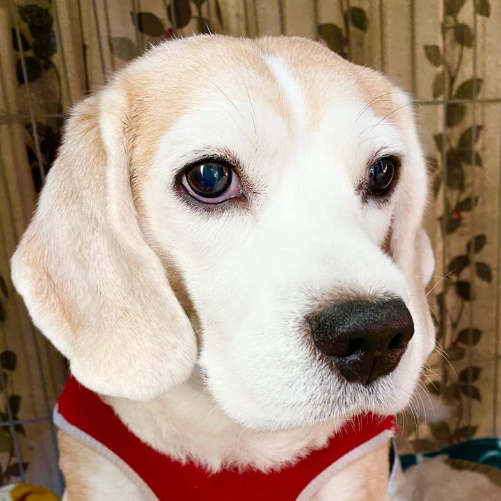 Ba62332f ee22 4149 97a7 63867b2b2dce 1616823035304