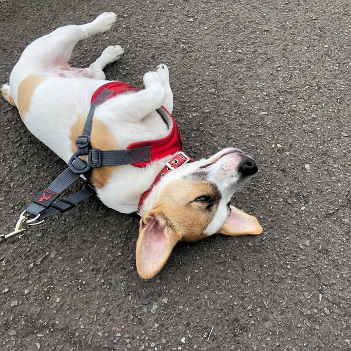 Ba624a36 6a93 4bab b74f ac1cffcfbc23 1561562662839