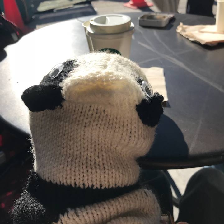 Ba6260a6 9328 455c b886 c9b58c10352b 1515226805537