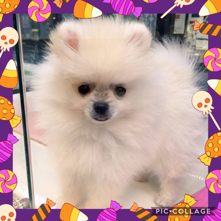 Ba626ee8 6337 4064 91b0 57df5b555004 1571693903320