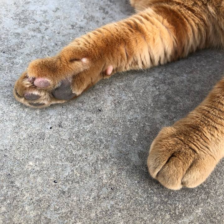 Ba6277bc f093 4484 9a5d c9f64dc99fb0 1521103761520