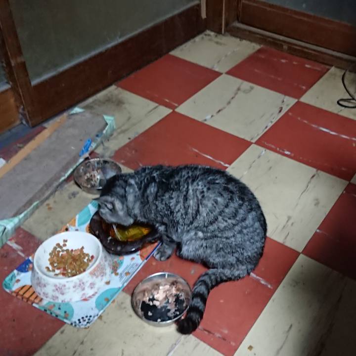 Ba627e65 f4f0 469b 9644 cb8a65962825 1576274459325