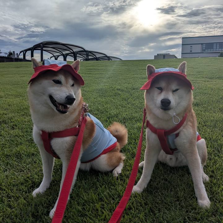 Ba628ace a3b7 4f5e 9c60 300869ca843e 1757825228855