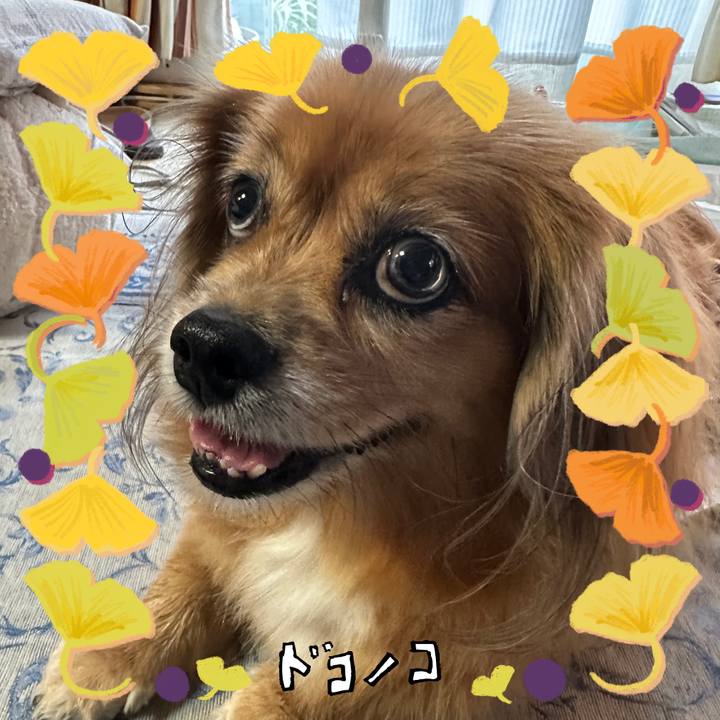 Ba629a7c a371 4557 90ac 4209b7340c40 1729201722711