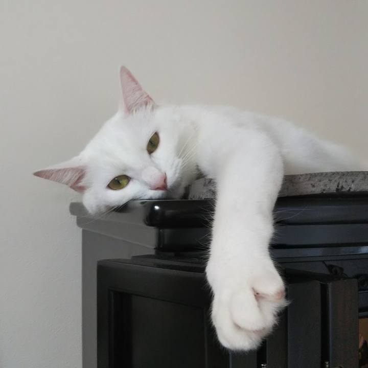 Ba62a3f5 0280 485c acd1 790f7bdde05f 1626480342713