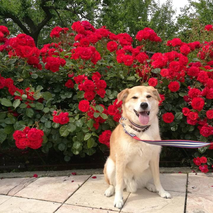 Ba62cf4d a213 4b82 a2b2 d439c6210142 1558861260839