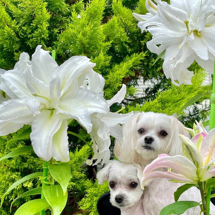 Ba630ca7 2563 482d 9a63 3f6187630524 1625448620220