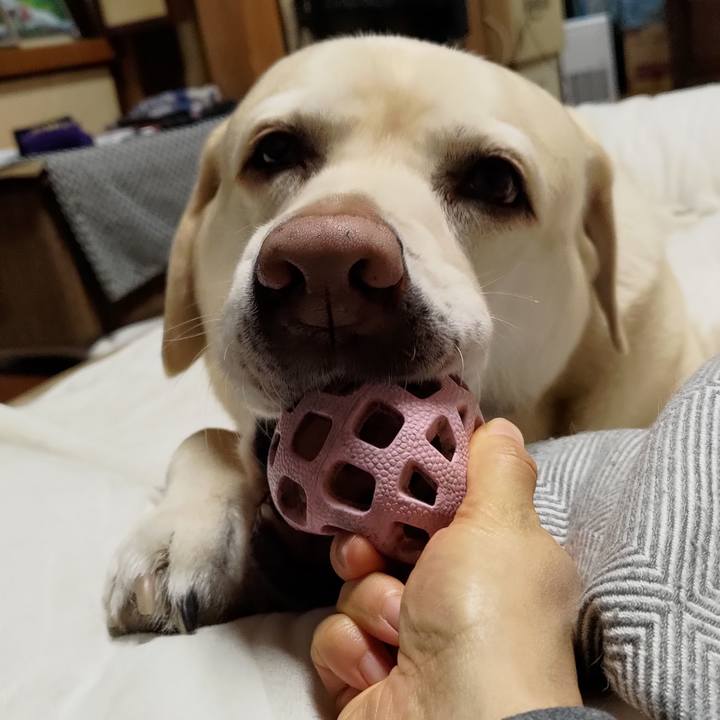 Ba63431a c139 4585 a040 84e7cb7fa96a 1706572934414