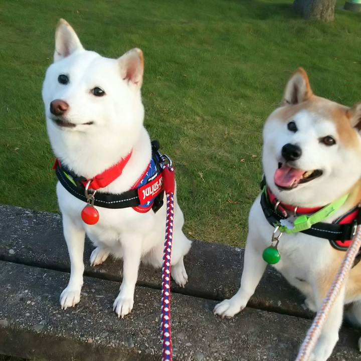 Ba635041 6a7d 4f88 b27d b964a29e60e9 1569404420103