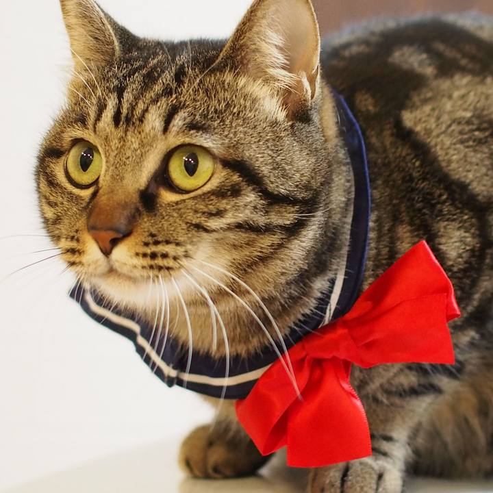 Ba638479 fe5d 4cf3 8987 34098fe8d17d 1550761305519