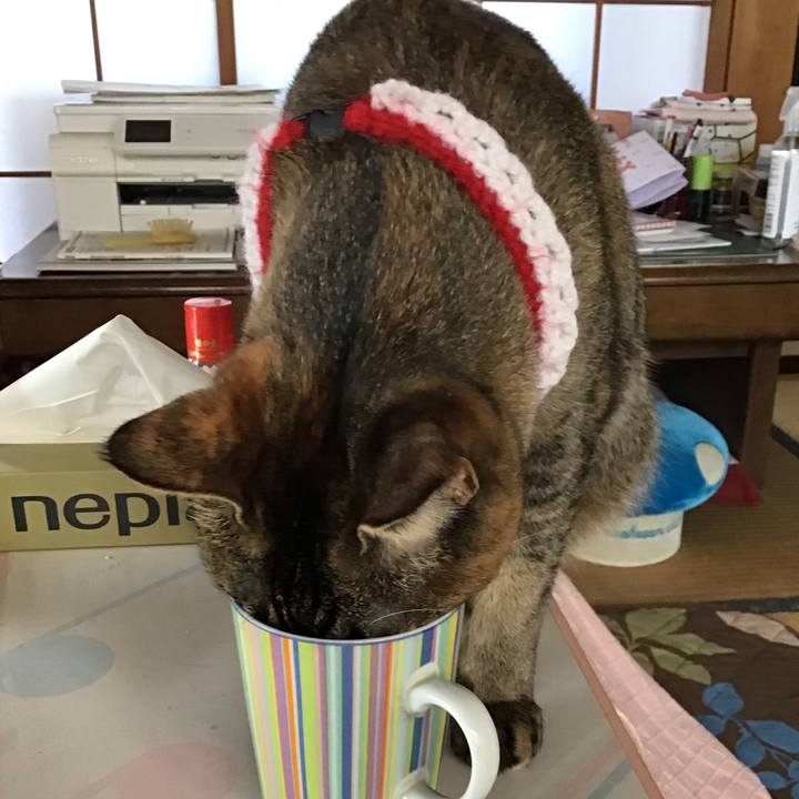 Ba63eb0a 475c 4870 a16c 7611b8e7928c 1610156075832