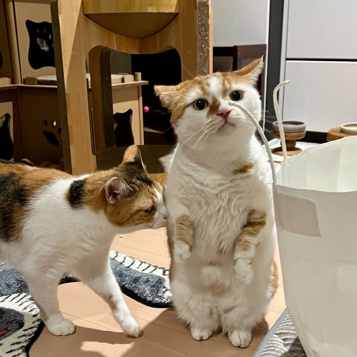 Ba6434f3 0cb1 4846 8ba0 988a39070e1a 1758081821650