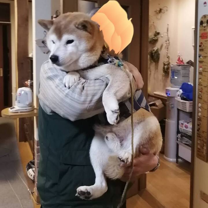 Ba645f0c c799 406d a4a2 cadb15cb7e39 1673085407337