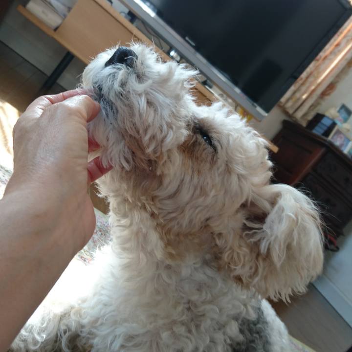 Ba648316 789f 4db6 b77b 6a95af8470d1 1625443226281