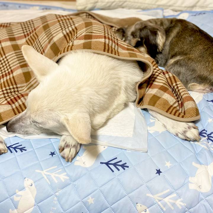 Ba648475 8a74 4b66 b716 f81d8a986b74 1671595302484