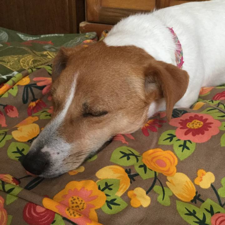 Ba64853c d1d3 4934 ab4e a19c6b494937 1526713768718