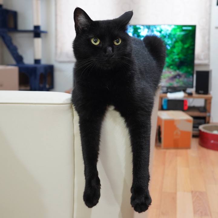 Ba64a9b6 f05f 42e1 b5c4 c9cccd5b0fcd 1592143673349