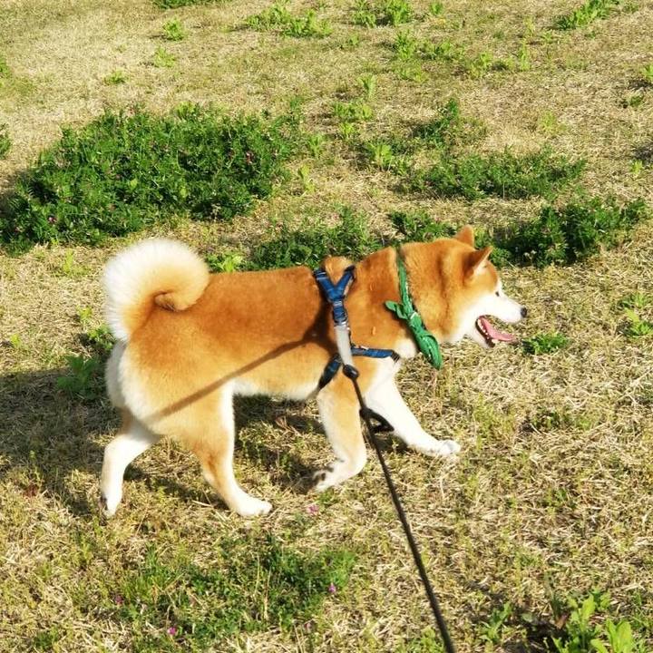 Ba64f04b a964 4a6a 889c f6ed7d8682dd 1557043080101