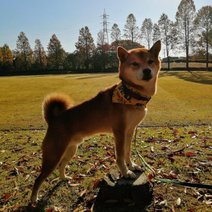 Ba650d17 f90c 4bd2 b517 dffa6da9c336 1636070746179