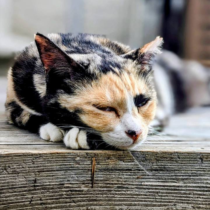 Ba651561 6740 4db0 a834 e82fccb90052 1758454091438