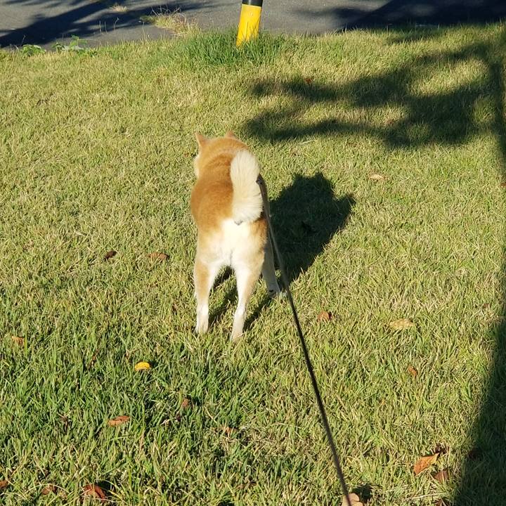 Ba6536d4 c327 42fe a185 53117c8aa270 1728804405846