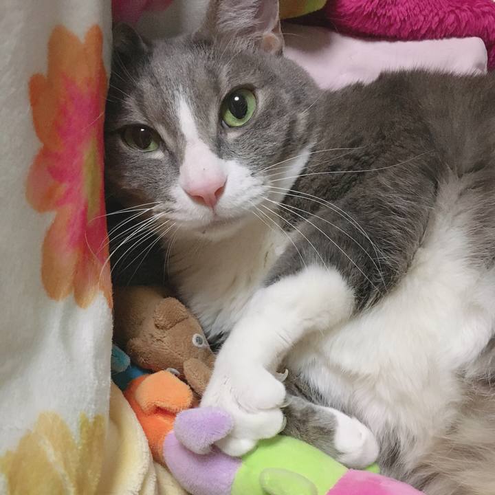 Ba654518 e833 441c ae11 489dc807cacf 1579790386148