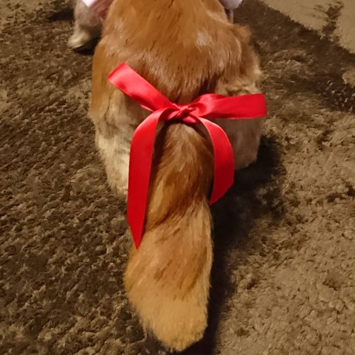 Ba65735c 0e19 4a2d a604 10a89939c60d 1513756216224