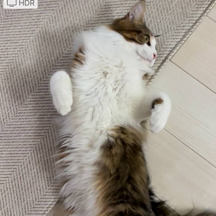 Ba658714 c32b 48e6 854d 5e903395d142 1646258533246