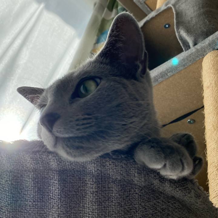 Ba65876f 0d56 4553 8bc3 ea3a5ab8a574 1671076520818