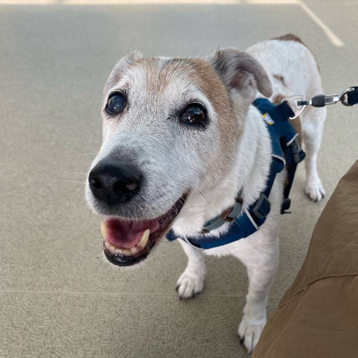 Ba65d872 31b2 4189 aae0 cbf18624f29b 1658017743339