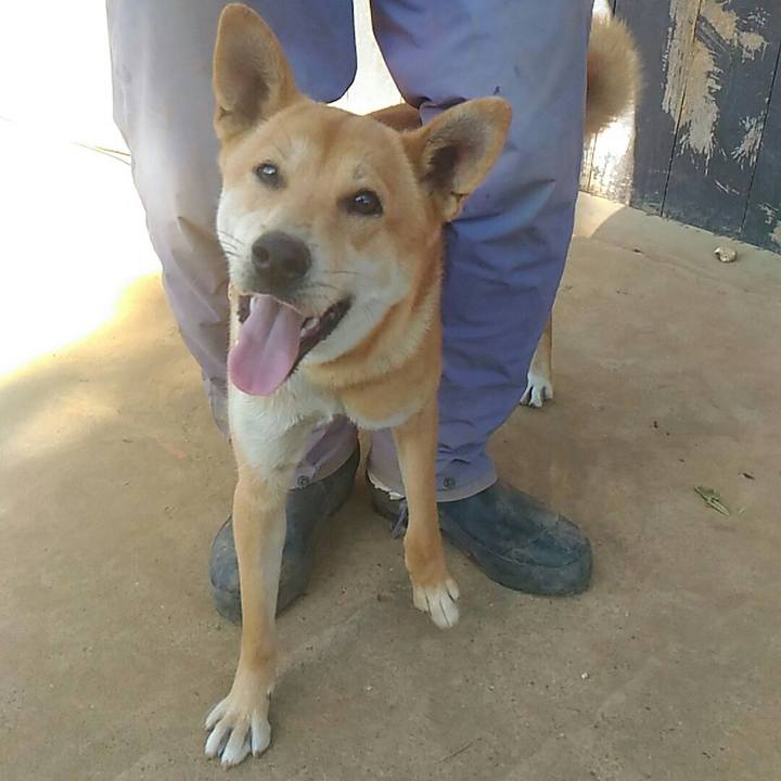 Ba66184b 53cf 43f1 8fbd 250fec13f431 1512722715385