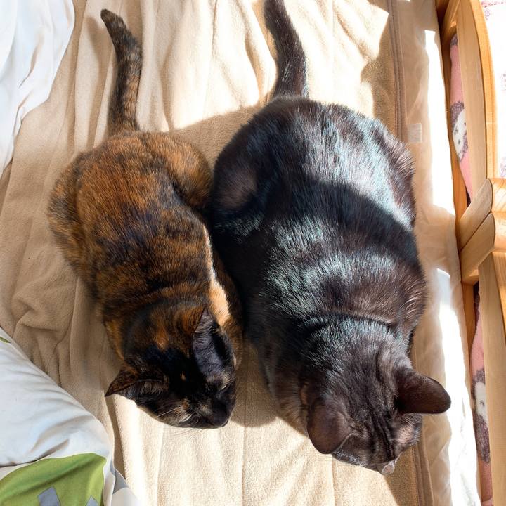 Ba661d80 a2d3 46f0 8e13 c51675143029 1574384546693