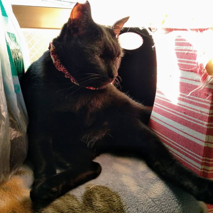 Ba66739e 3e44 47a7 ae26 45f297e003f0 1573116911369