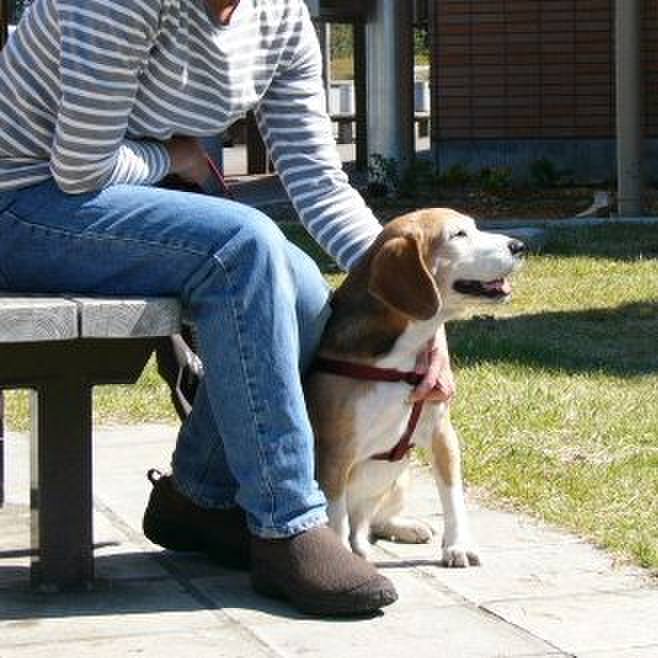 Ba66885c b986 471a 956b da4ce9e82455 1640480473950