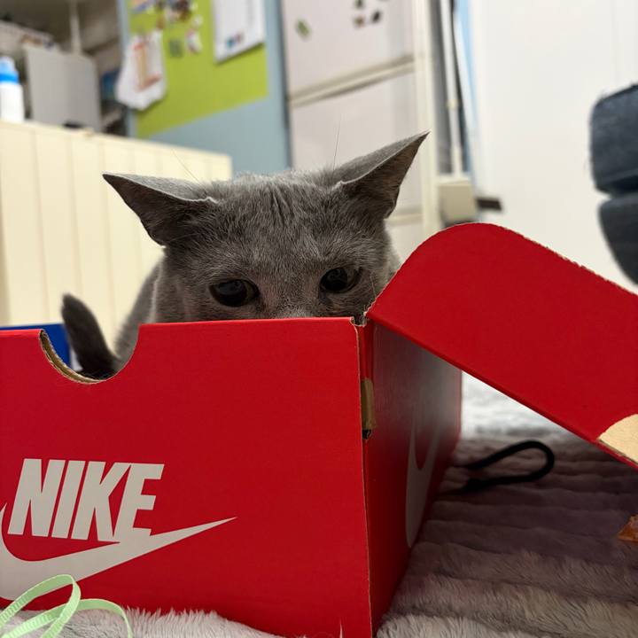 Ba669174 5e07 4393 950f 18a0faa61b1c 1773237286207