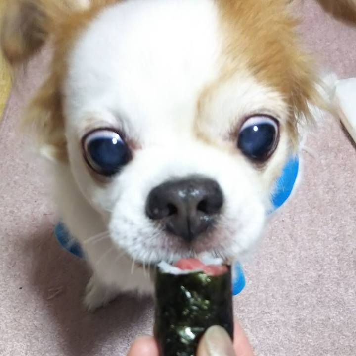 Ba66c176 4c58 4c1b 92c9 8f21aff72b3c 1577707034192