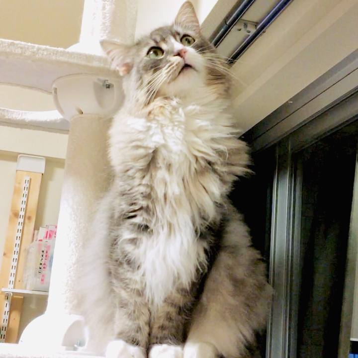 Ba66c954 e432 44c1 a4ff cbbc1aa45c83 1559239296982