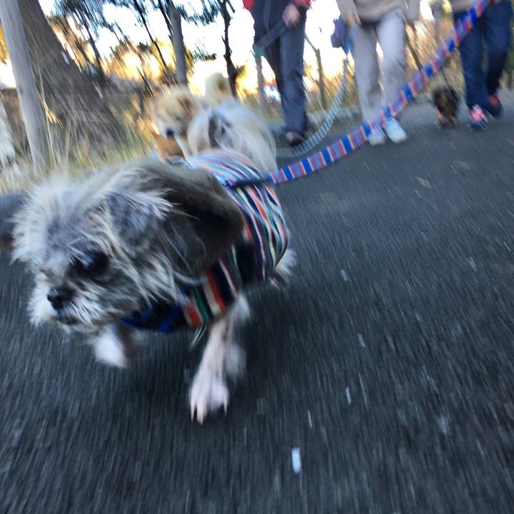 Ba66d0eb 4feb 4d3f 8a3c c81d1cf7c358 1514287425618