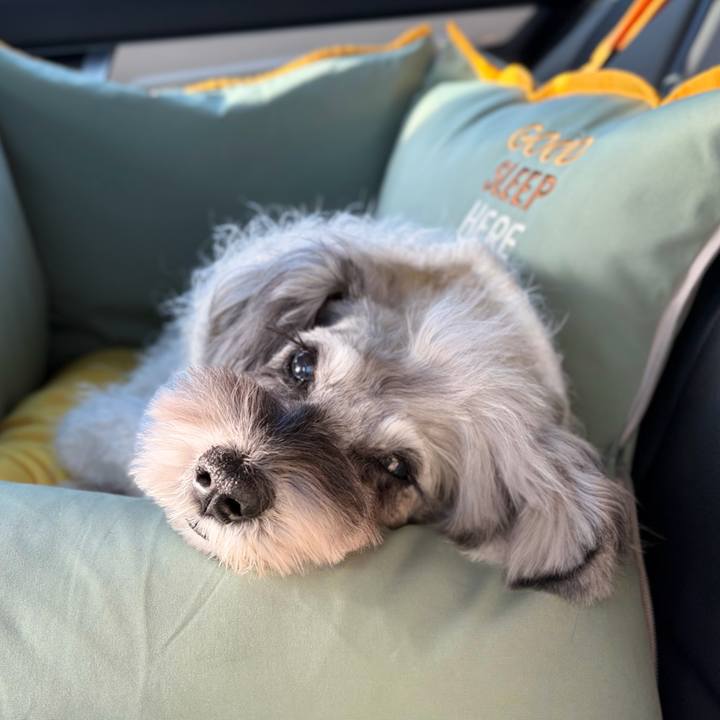 Ba66dab2 7d9e 4421 8b51 70cfd5244104 1769866111271